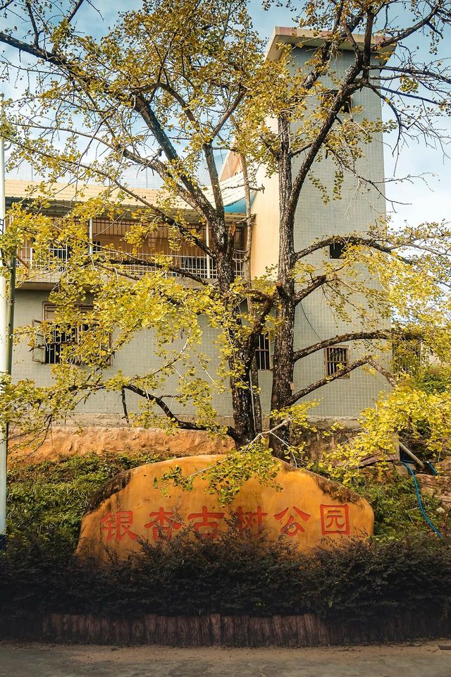 廣東賞秋——韶關南雄坪田。
