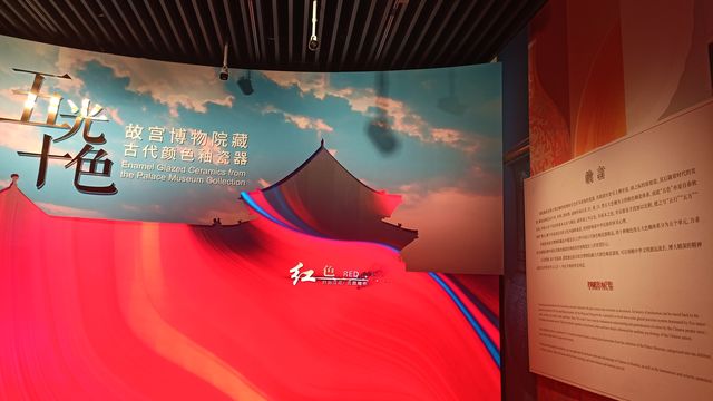 20241002  五光十色——故宮博物院藏古代顏色釉瓷器展。