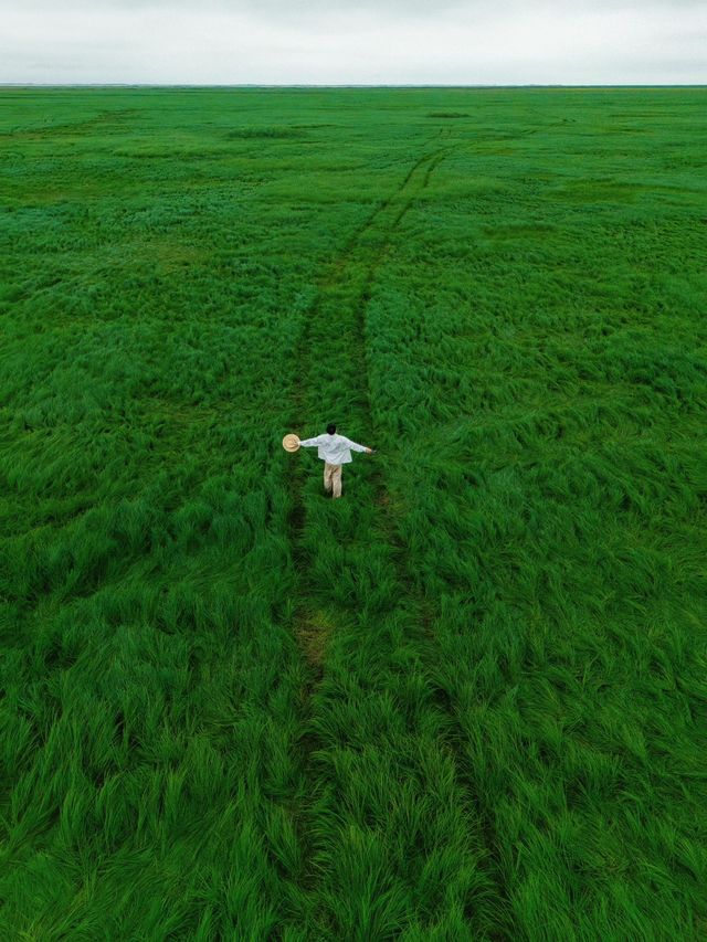 《鄱陽湖畔的奇幻之旅：走進宮崎駿的草海世界》。