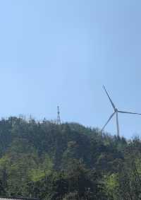 岳陽周邊登山寶典：家庭友好型路線揭秘與必知事項！。