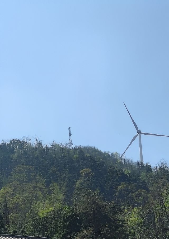 岳陽周邊登山寶典：家庭友好型路線揭秘與必知事項！。