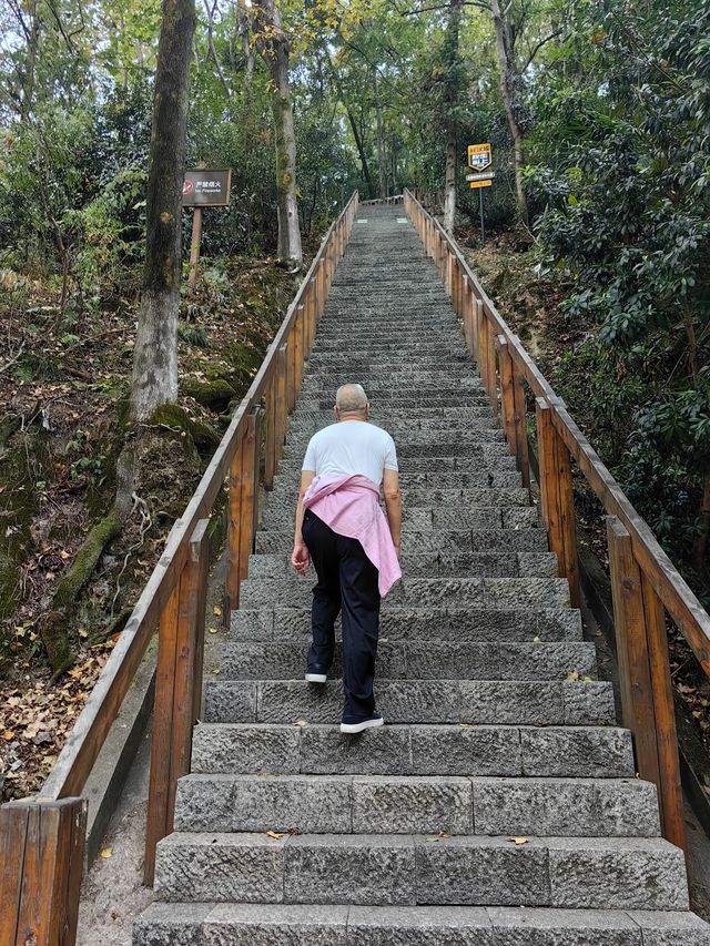 雲碧峰森林國家公園。