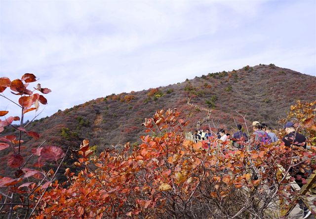 木棧道上賞秋色，群山斑斕入眼簾。