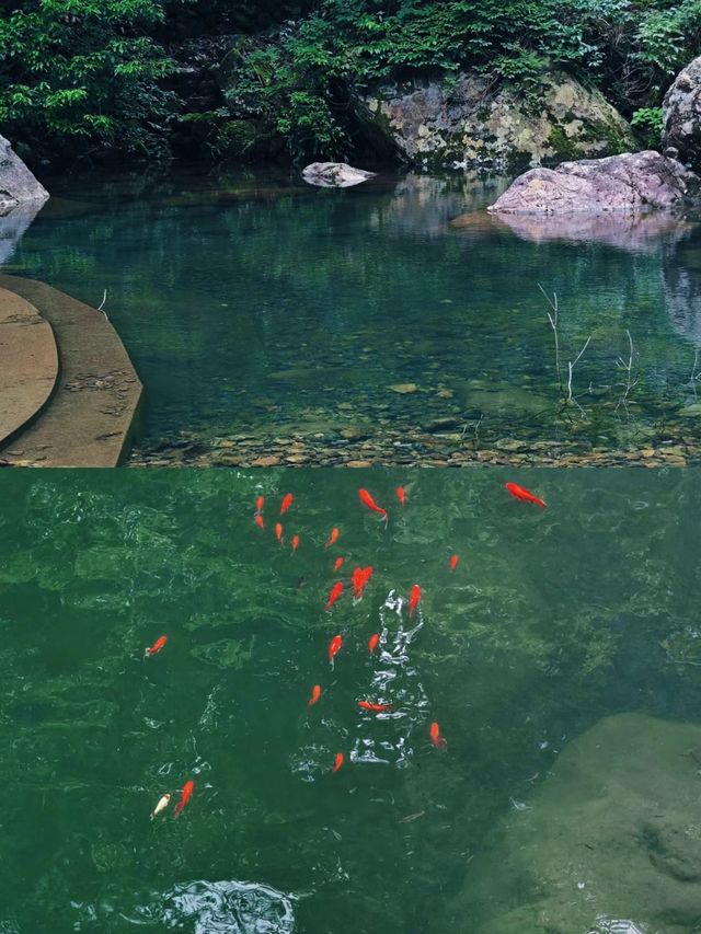 畲族風情與山水畫卷。