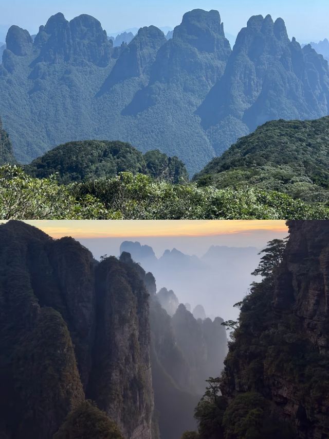 闖進人間仙境啦。