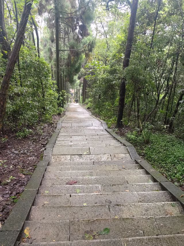 峨眉山-都江堰帶小朋友玩，這樣走不踩雷。