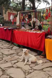 山西佛光寺｜真正的大唐只能在中國。