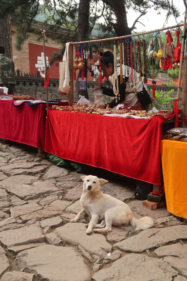 山西佛光寺｜真正的大唐只能在中國。