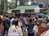 Travel Experience to Nikko's Toshogu Shrine on November 3rd