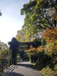 南京老山森林公園 | 親子秋遊寶藏地 。