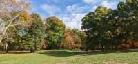 Autumn in a fairy tale! New York · Prospect Park!! 