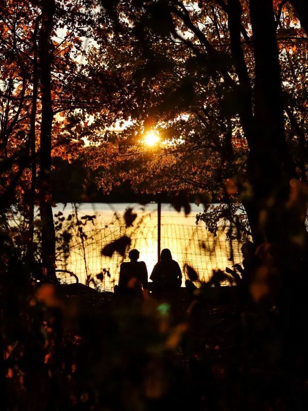 Experience the Golden Autumn at Prospect Park