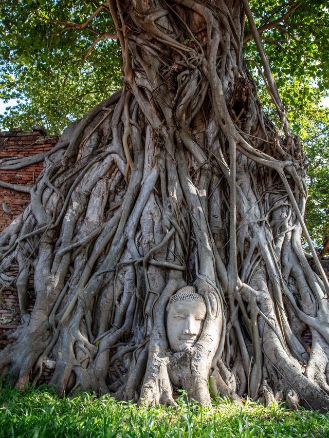 Ruins or art? The historical riches a day trip from Bangkok