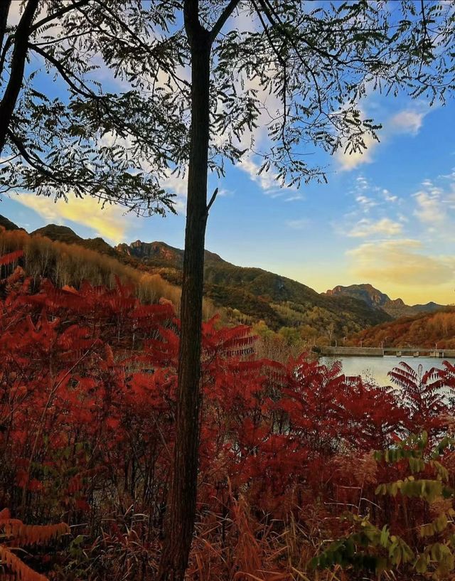 玉渡山一日遊 秋日調色盤模式全開。