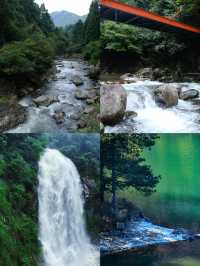 不做冤大頭天目山旅遊避雷||全攻略。