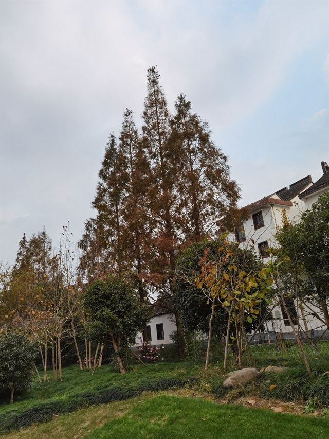 明月山塘。