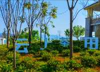 普洱倚象山營地:自然奢華的茶園之旅