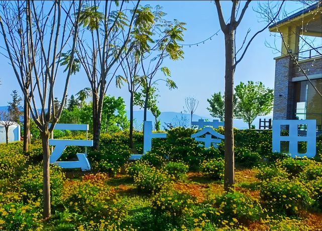 普洱倚象山營地:自然奢華的茶園之旅 普洱倚象山營地:自然奢華的茶園之旅