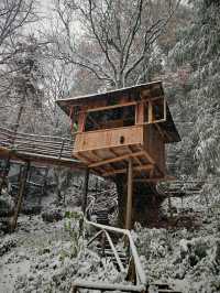碧峰峽野奢之旅 | 暮雲春樹民宿遇見雪中的冬日戀歌
