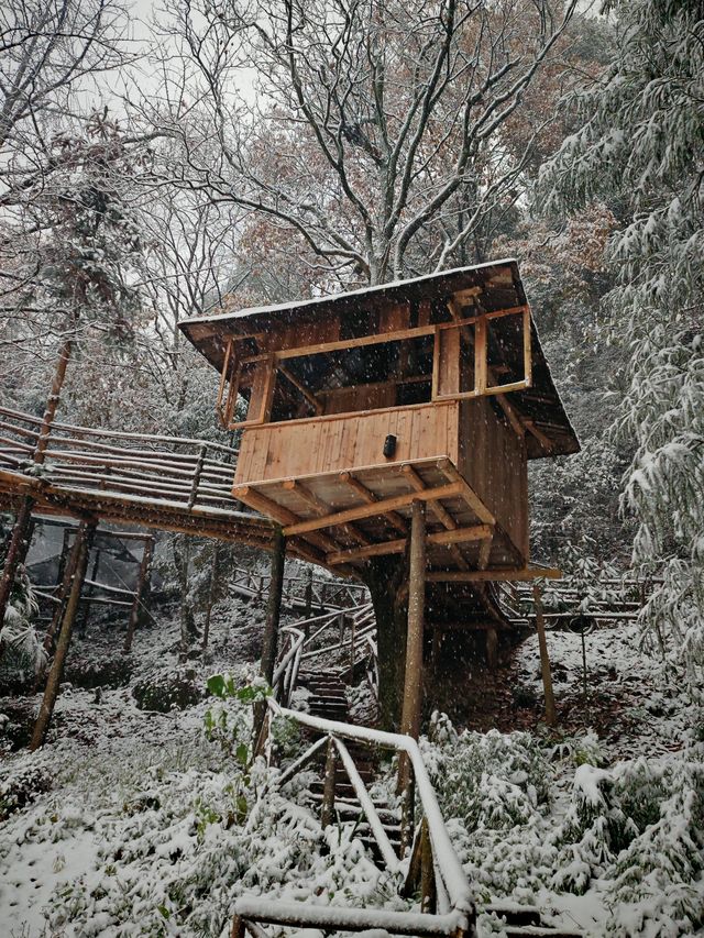 碧峰峽野奢之旅 | 暮雲春樹民宿遇見雪中的冬日戀歌