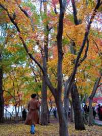 美翻了！你永遠可以相信婚紗照的取景水平！