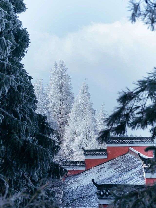 葛仙村·大雪|大雪至，寒冬始