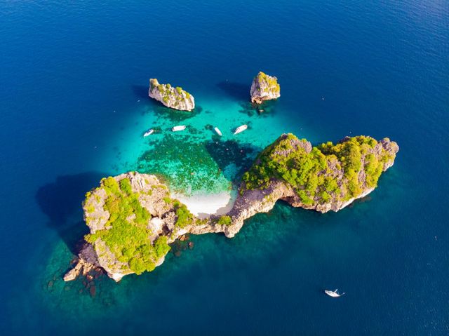 Seastar快艇日遊探秘洛克島原始之美。