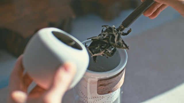 丹霞｜禪茶之旅。
