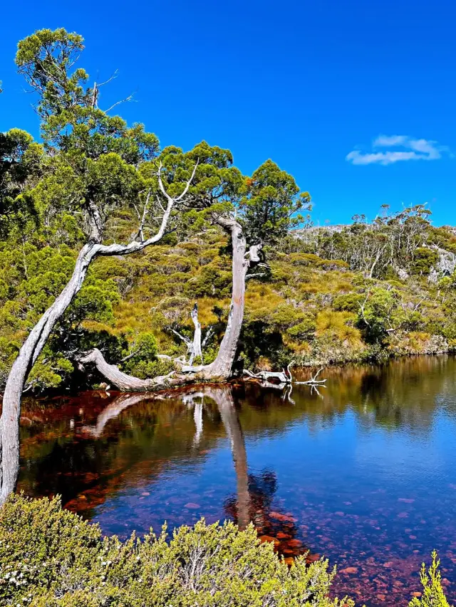 7-Day Family Trip to Australia: A Complete Guide for Traveling with Kids