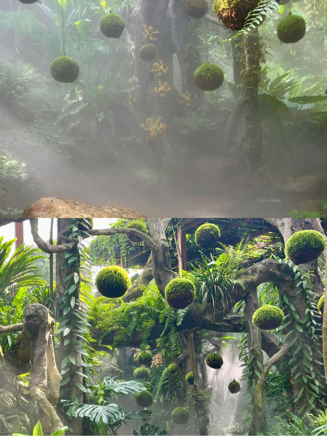 人回來了  心還留在綠野仙蹤 風景太美了