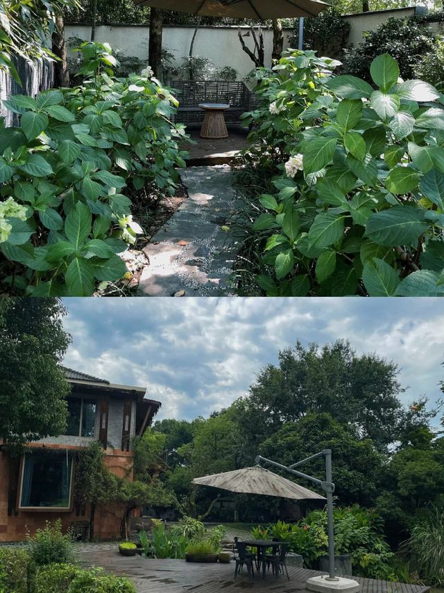 安吉—避暑旅遊推薦