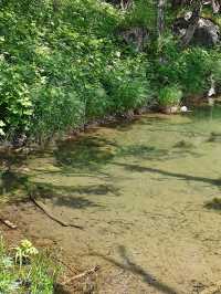 延邊2日|真溫泉度假不踩雷攻略