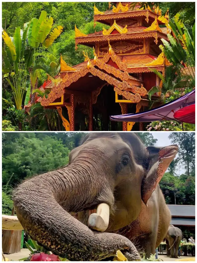 6 Family-Friendly Winter Vacation Destinations