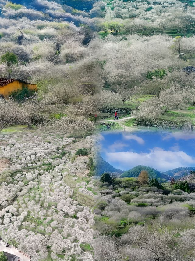 永泰小旅行：古鎮探秘，美食溫泉兩不誤