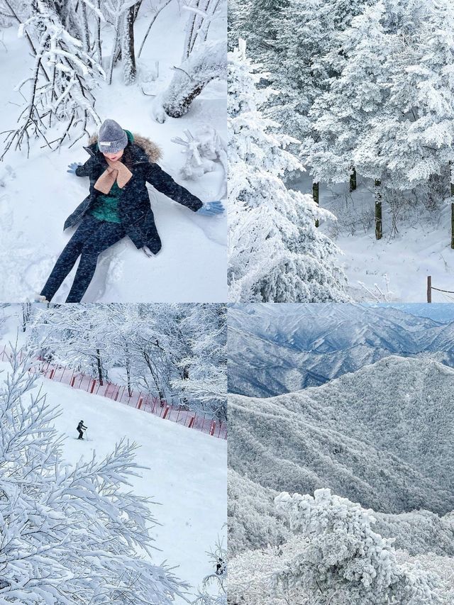 平昌郡：魅力匯聚的韓式風情勝地