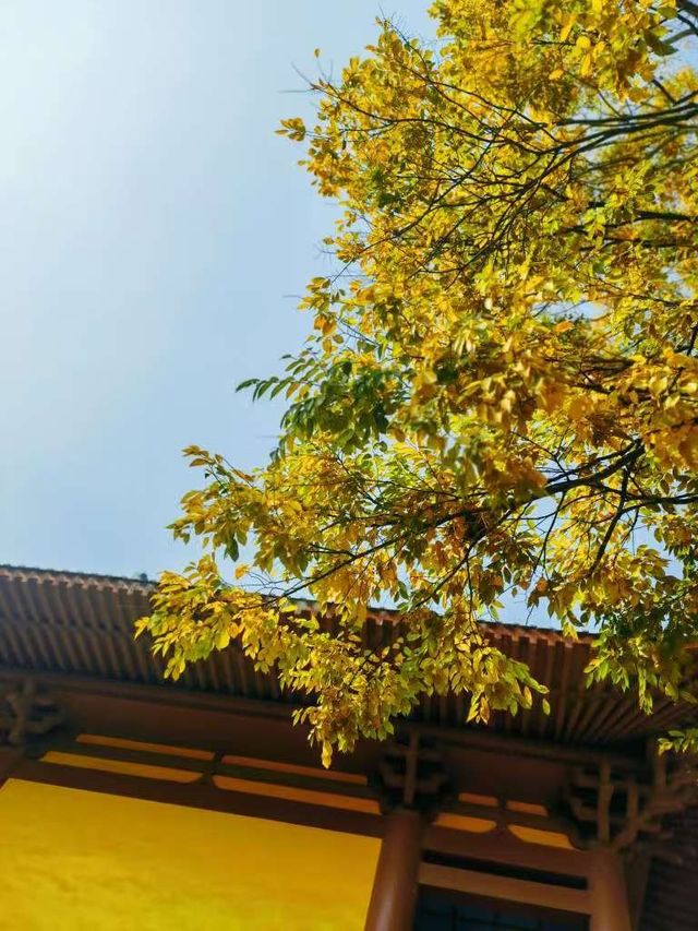 貴港南山寺，讓你心靈淨化的地方！