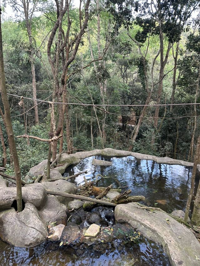 普洱4日｜和熊貓的親密接觸攻略別錯過