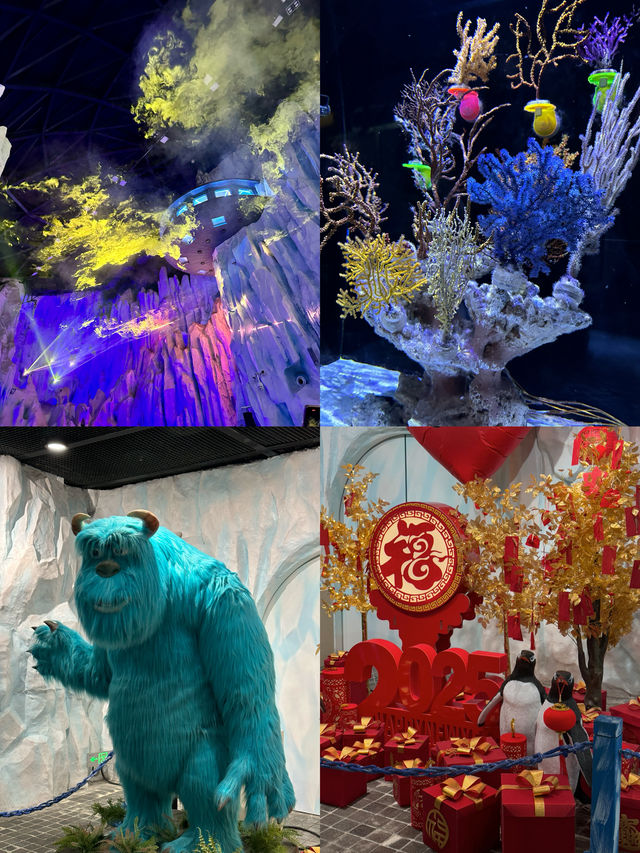 淘學企鵝就在這裡！到哈爾濱一定要去極地公園絕對值