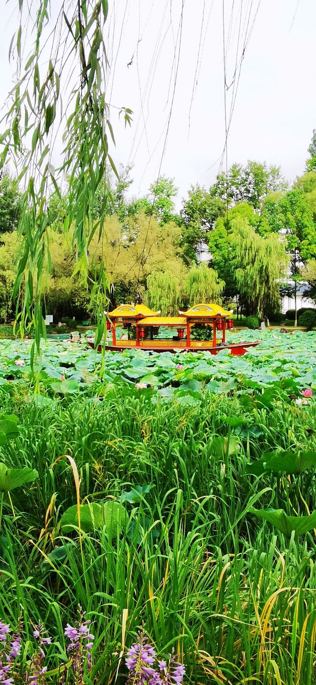 集安•蓮花公園