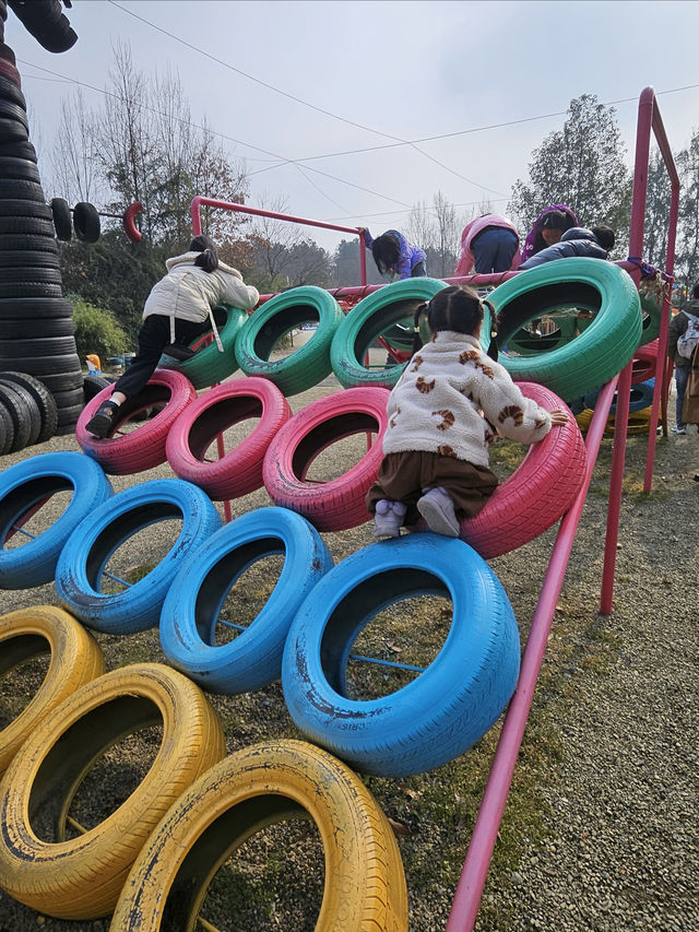 綿陽春節遛娃寶藏地 | 還會去10次的主題樂園