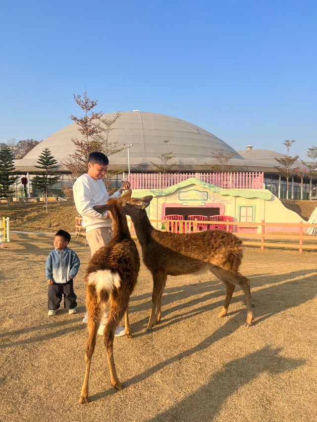 一小時逃離城市計劃｜盈香心動樂園