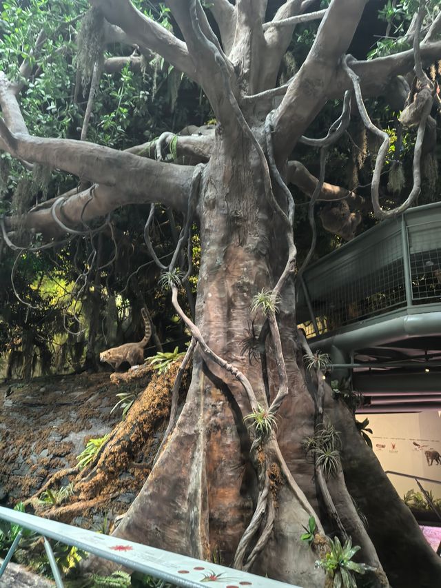 自然博物館•貝林大河生命館
