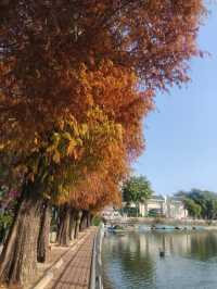 蛇年添喜慶一一東山湖公園！