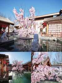 春節出遊去哪玩？北京世園國際旅遊度假區熱鬧又喜慶