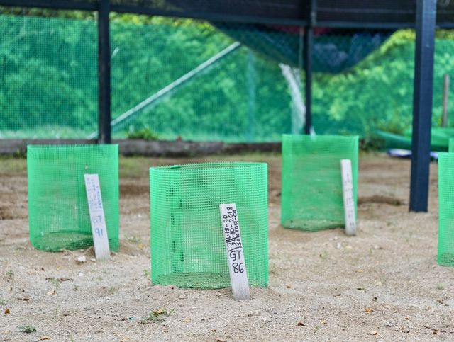 探索山打根里巴蘭島｜領略絕美自然風光