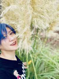 成都周邊遊 菊次郎的夏天