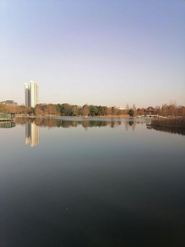 羊湖濕地公園，邂逅湘楚大地的生態畫卷