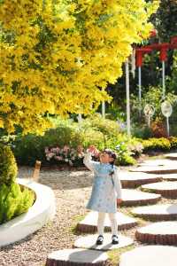 美哭花花世界又來廣州兒童公園