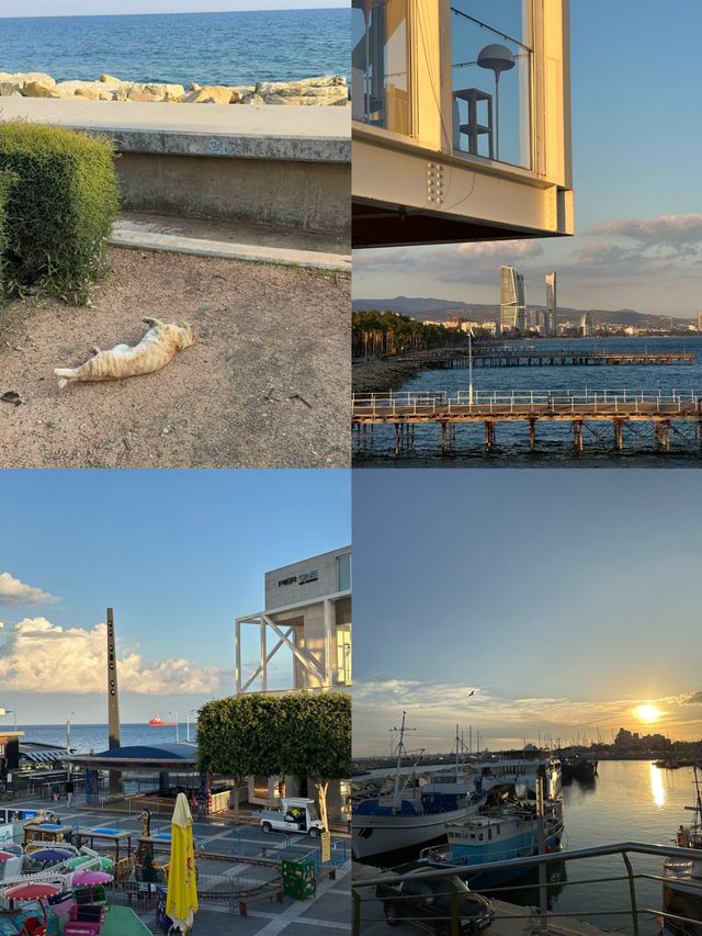 利馬索爾：地中海的魅力綺夢