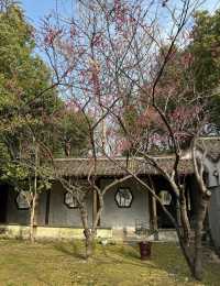 烏村，又到花朵綻放的季節